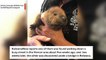 Two Orphaned Beavers Rescued In Canada