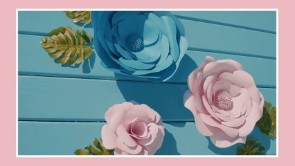 Sophia Isabella Fashion