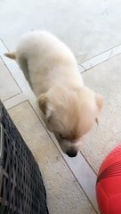 Ηλιάνα Παπαγεωργίου: Ο Snik της έκανε το πιο όμορφο δώρο!