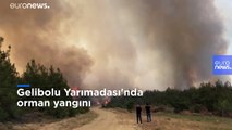 Video: Çanakkale tarihi Gelibolu Yarımadası'nda orman yangını 16 saattir sürüyor