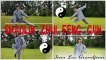 Shaolin Stok | Zhui Feng Gun: Wind Chaser Staff | Martial Arts Apeldoorn