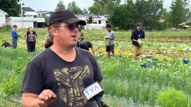6 juillet-PG-Hausse de la demande des paniers de légumes