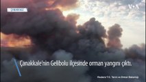 Gelibolu'da Orman Yangını