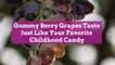 Gummy Berry Grapes Taste Just Like Your Favorite Childhood Candy