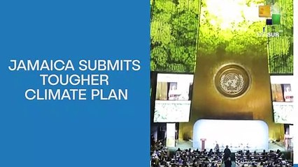 Jamaica Leads Caribbean in Climate Transformation