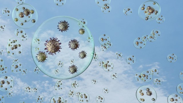 Scientists Demand The WHO Answer A Question There's No Real Answer To Yet