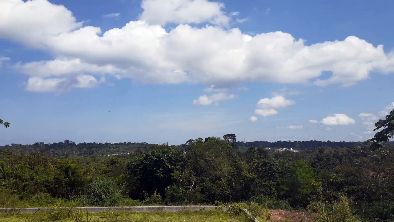 [SBEG Spotting]Airbus A320NEO PR-YRN na final antes de pousar em Manaus vindo de Campinas