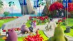 Angry Birds : copains comme cochons (2019) - Bande annonce