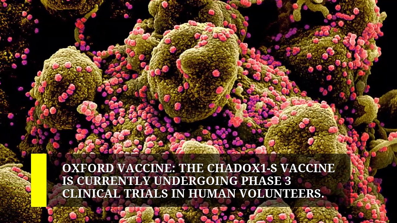 CanSino, Moderna, Novavax: A list of Covid vaccines under clinical trials across the world part 1