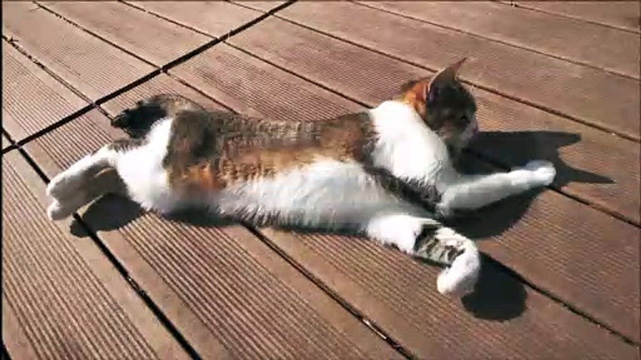 Catimini - Endless