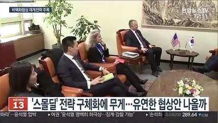 비건 방한…한미, 비핵화협상 재개전략 논의 주목