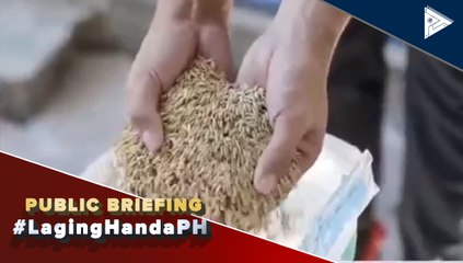 PRRI, namamahagi ng libreng certified seeds sa pamamagitan ng rice competitiveness enhancement fund