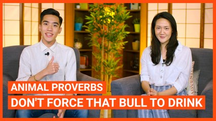 Animal Proverbs: Don't Force That Bull To Drink | Intermediate Lesson | ChinesePod (v)