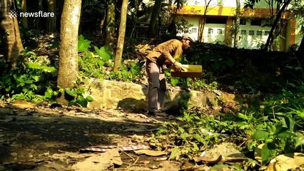 Indonesian artist collects dry leaves and transforms them into valuable paintings