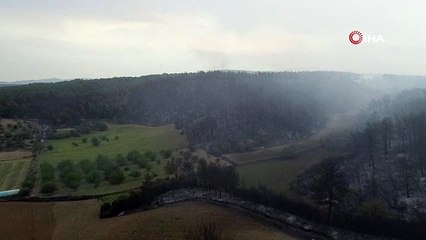 Gelibolu Yarımadası'ndaki yangının boyutu gün ağırınca ortaya çıktı