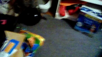 Tigress Playing With A Black Balloon