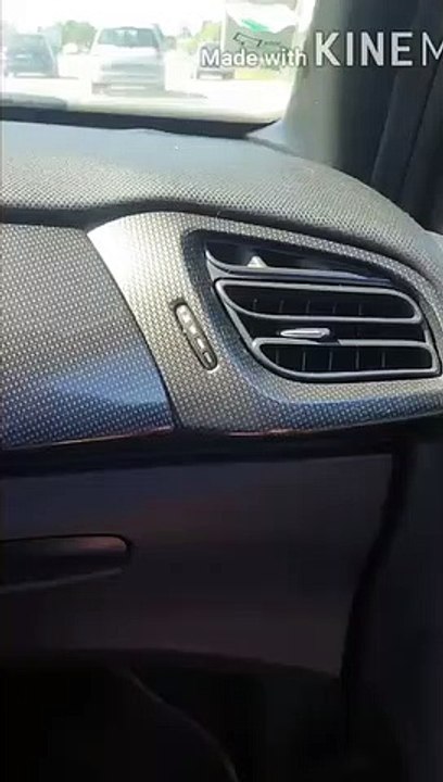 Un taureau dans une 206 CC (Camargue)