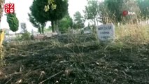 Tahliye edilen Kumköy mezarlığı alevlere teslim oldu