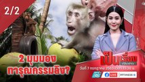 เป็นเรื่องเป็นข่าว - ฟัง 2 มุมมองการใช้ลิงเก็บมะพร้าวในไทย (2/2)