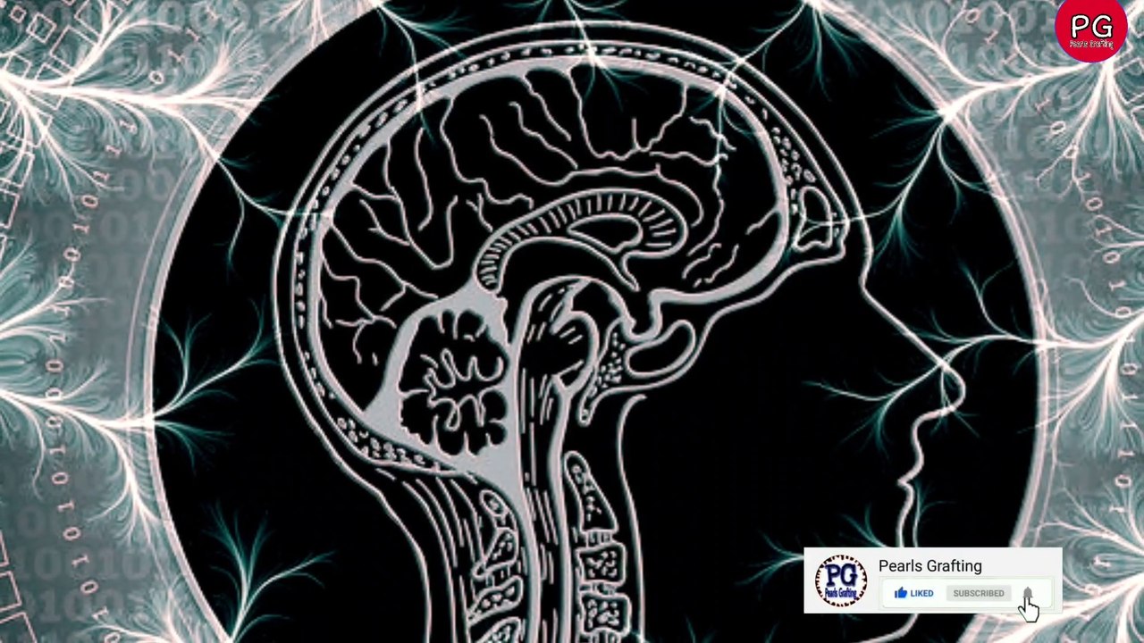 Insan k marny k waqt dimagh mai kia hota hai|Kamsin bachay ki khalifa e waqt kay darbar mein jurrat