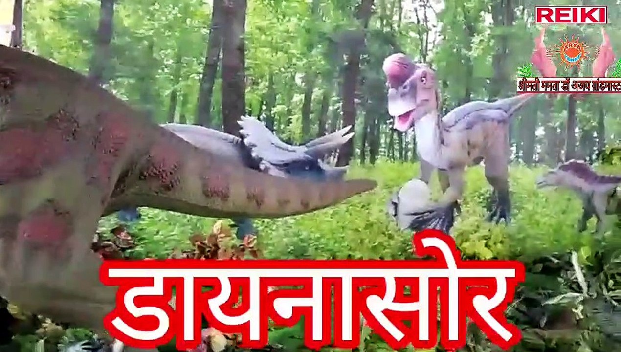 DYNASORE