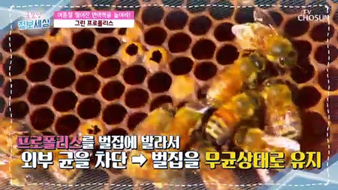 면역력 높여주는 녹색 가루 『○○○○○○○』 정체는?