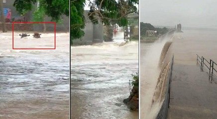 गुजरात में बारिश का कहर: कहीं बच्चे डूबे तो कहीं पशु, उफने नदी-नाले