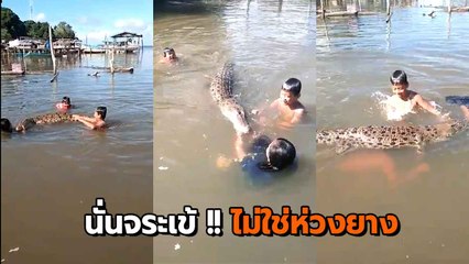 หัวใจจะวาย ! แก๊งเด็กว่ายน้ำเล่นกับเพื่อนต่างสายพันธุ์ แต่เดี๋ยวนะ.. นั่นมันจระเข้