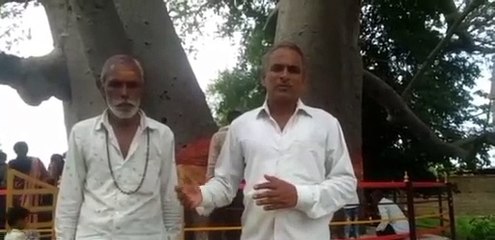 यहां 500 साल पुराना है कल्पवृक्ष, श्रावण मास दर्शन करने आते हैं सैंकड़ों भक्त