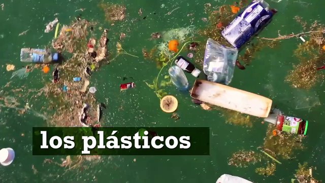 La revolución verde de Andalucía será clave en la recuperación económica de la región tras el Covid