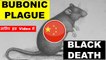 Corona के बाद BUBONIC PLAGUE | Black death in MONGOLIA CHINA | StudyIq Bubonic Plague HISTORY & FACT