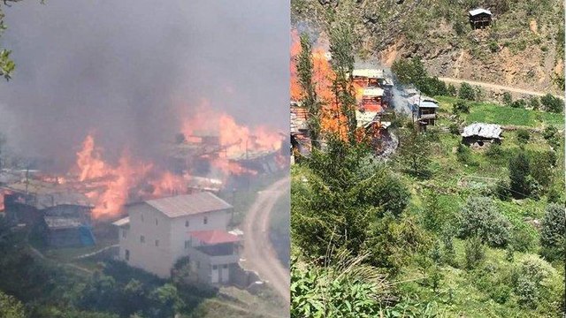 Artvin'in Yusufeli ilçesinde yangın