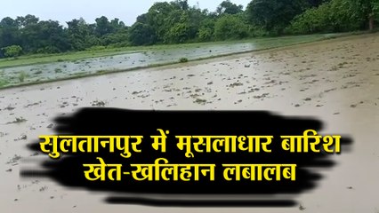 सुलतानपुर में मूसलाधार बारिश, खेत-खलिहान लबालब