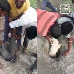 Boy Risk His Own Life To Rescue Goat From Borewell