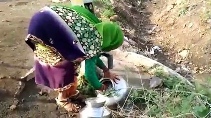 विधिक प्रक्रिया के बाद भेरुखेड़ा ग्राम आबादी में होगा: तहसीलदार