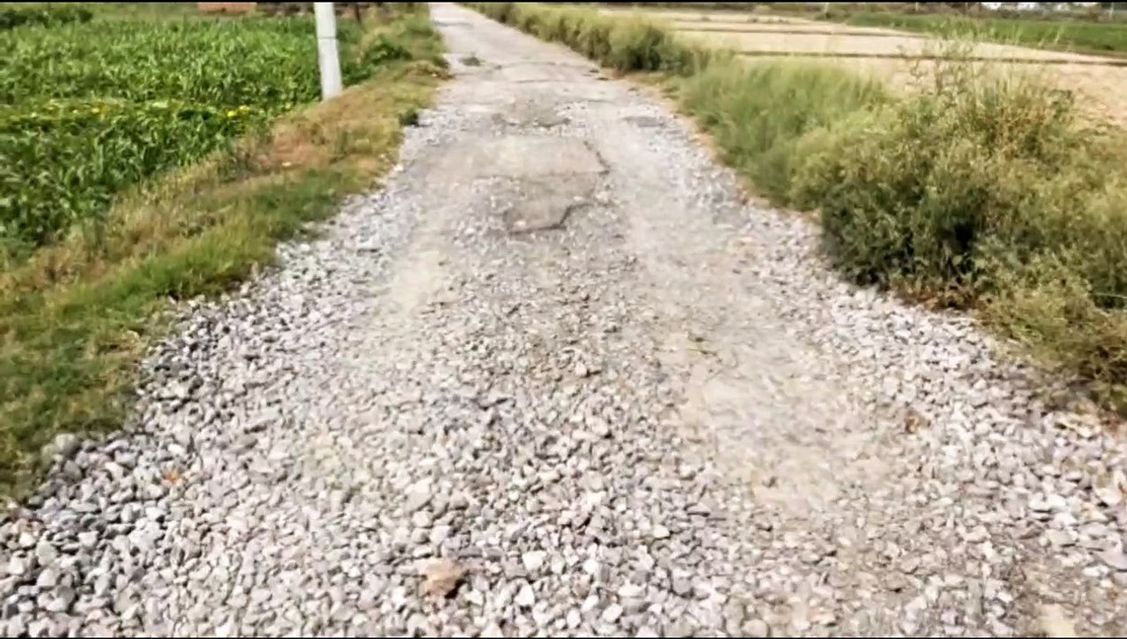 सड़क हुई गड्ढों में तब्दील, प्रशासन नहीं दे रहा है ध्यान