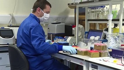 Brasil se destaca na busca por vacina contra Covid-19