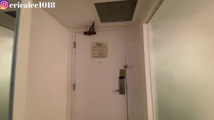 First Day Flamingo Las Vegas Pet Stay Room Tour Day 1