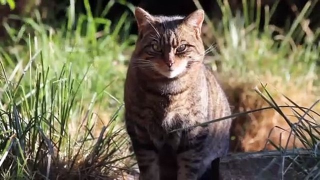 Northumberland County Zoo discuss safety measures!