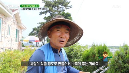 농약 아니고 블루베리로 만든 영양제