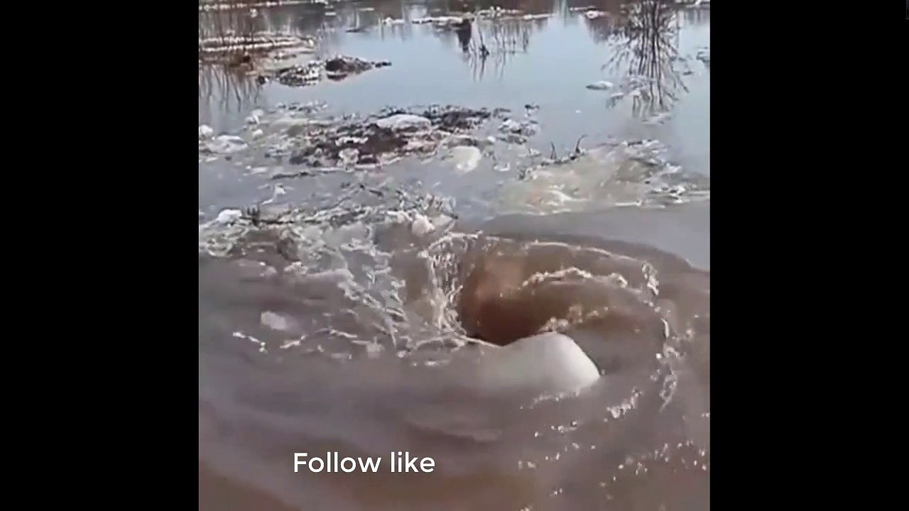Amazing Natural Impact of the glovalizaion time
