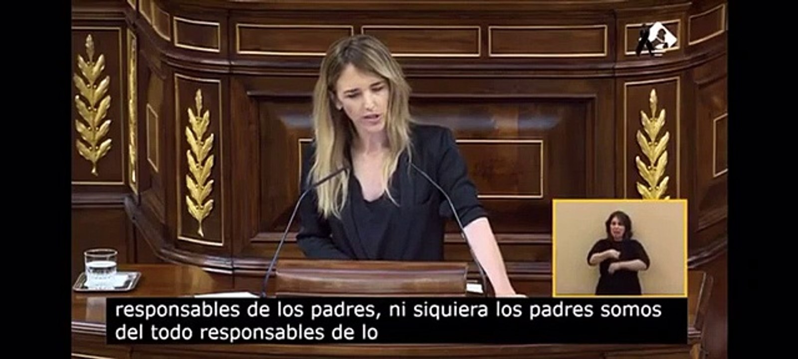 Cayetana Álvarez de Toledo en el Congreso