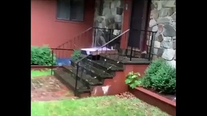 Livraison de son écran plat, il le retrouve trempé devant sa porte