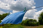 The Science Behind the Intoxicating Fresh Smell of Line-Dried Laundry