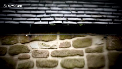 Soothing sound of droplets dripping in Derbyshire is the ASMR relaxation you need