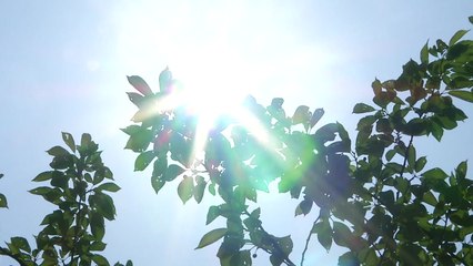 [날씨] 오늘도 찜통더위, 서울 31℃...영남 일부 폭염특보 / YTN