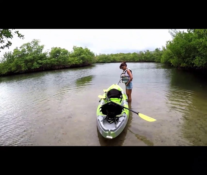 DONDE VAN LOS LOCALES 2