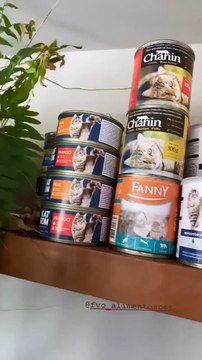 [Divulgação de Produto] FVO Alimentos - Junho