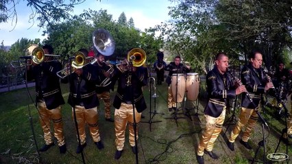 Banda La Pava - La Danza Del Coyote