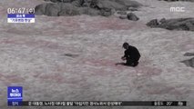 [이슈톡] 기후변화 현상으로 분홍색 된 알프스 빙하